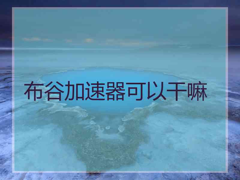 布谷加速器可以干嘛