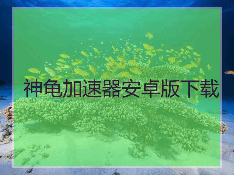 神龟加速器安卓版下载