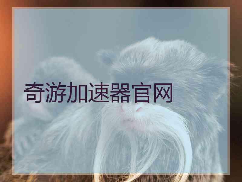 奇游加速器官网