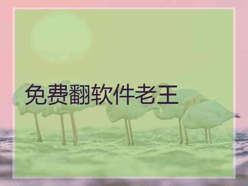 免费翻软件老王