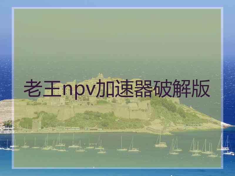 老王npv加速器破解版