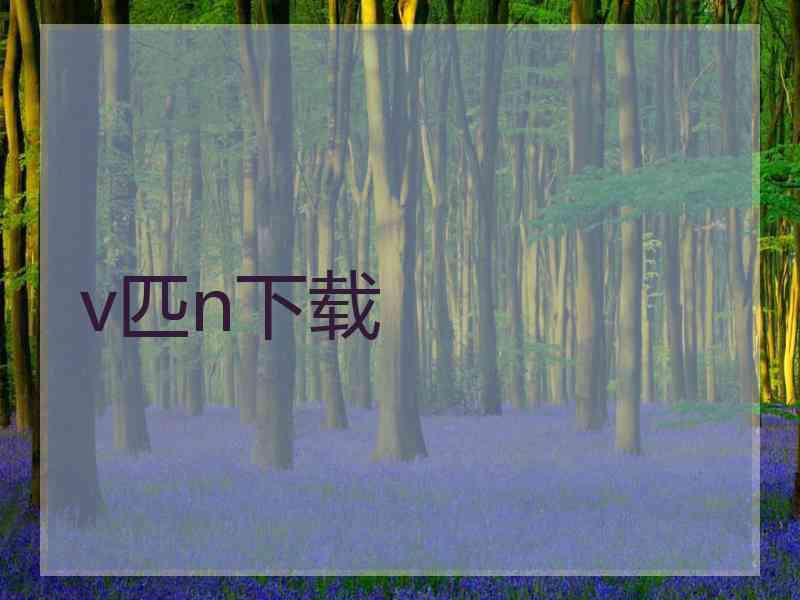 v匹n下载