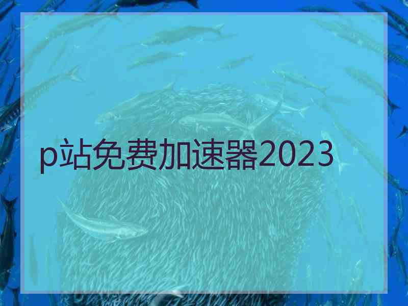 p站免费加速器2023