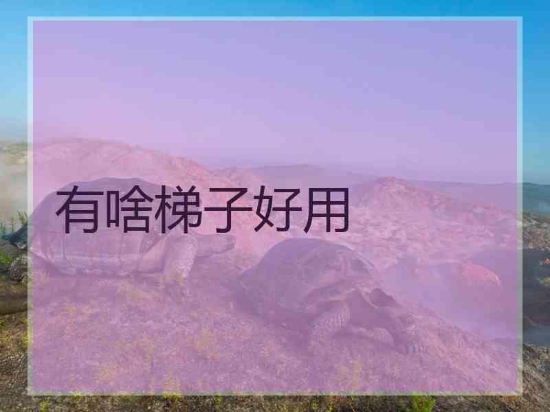 有啥梯子好用