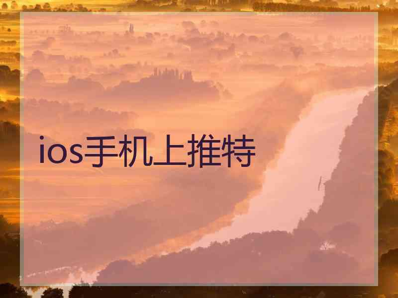 ios手机上推特