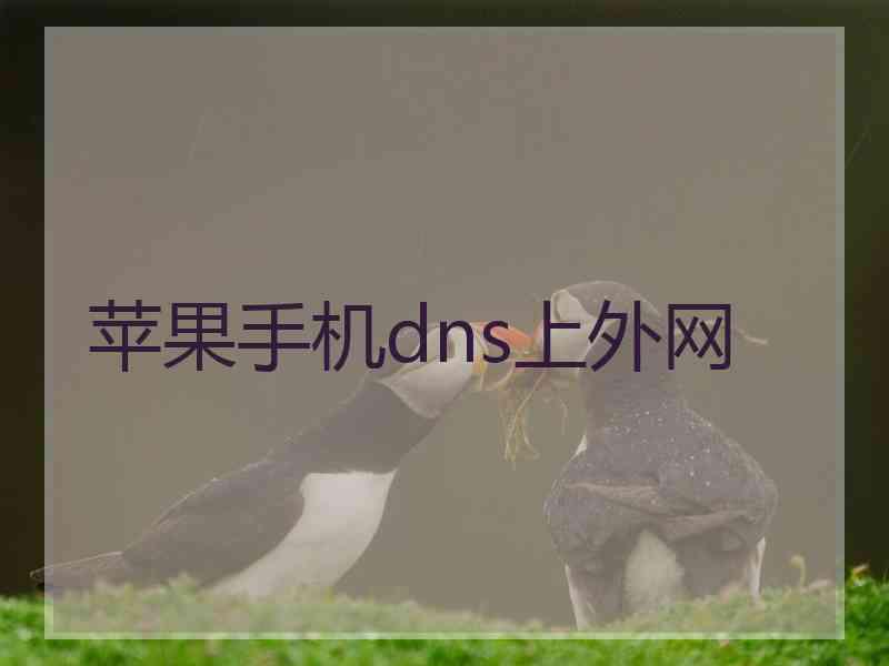 苹果手机dns上外网