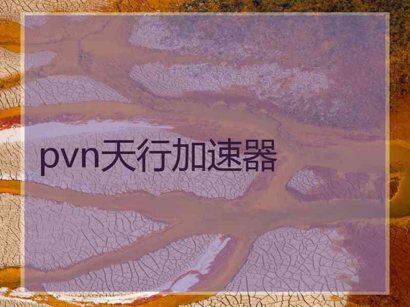 pvn天行加速器