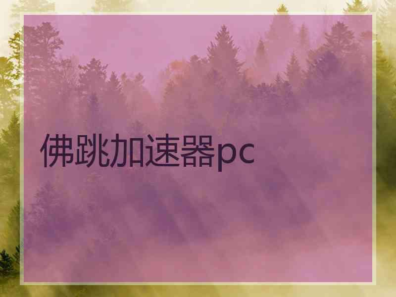 佛跳加速器pc
