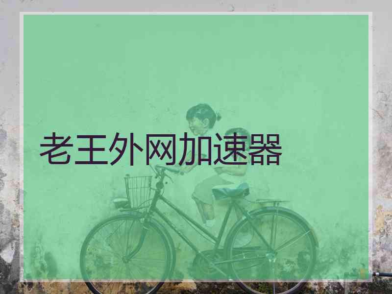 老王外网加速器