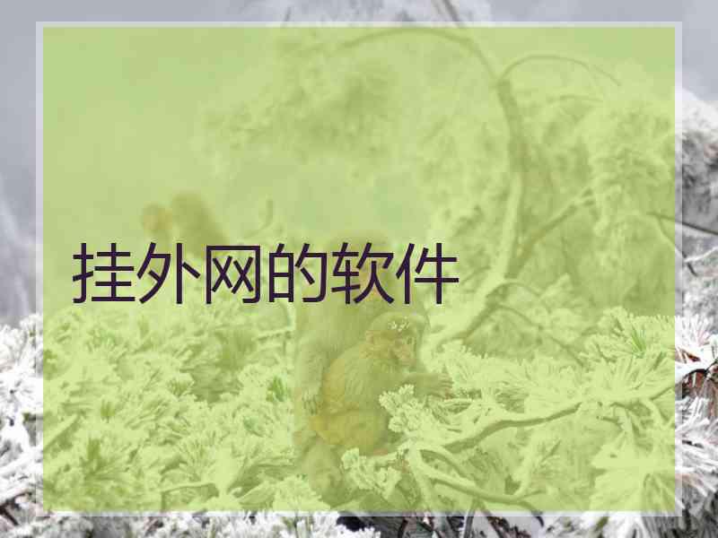 挂外网的软件