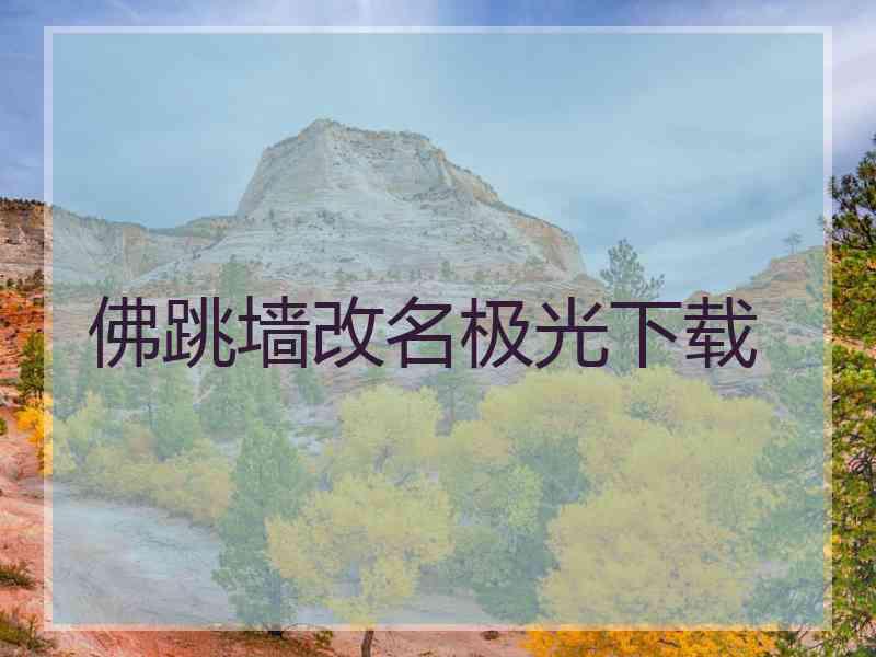 佛跳墙改名极光下载