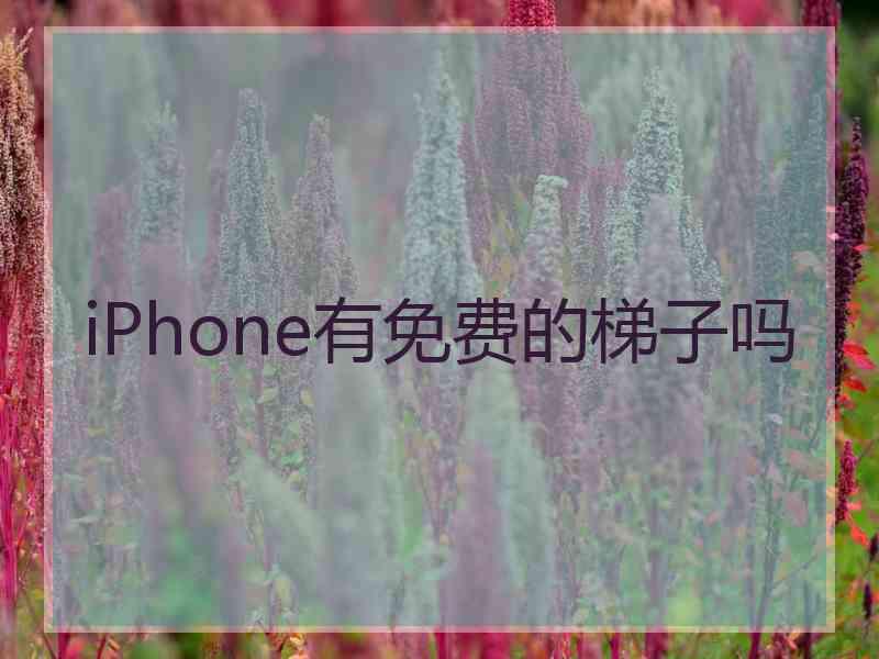 iPhone有免费的梯子吗