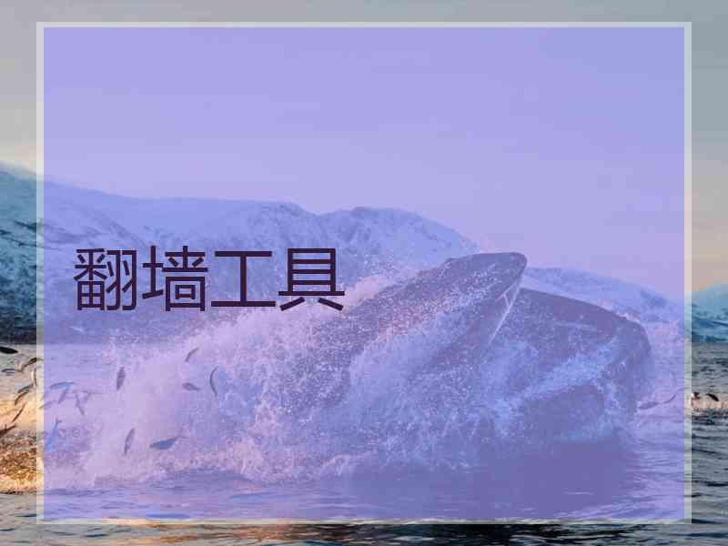 翻墙工具