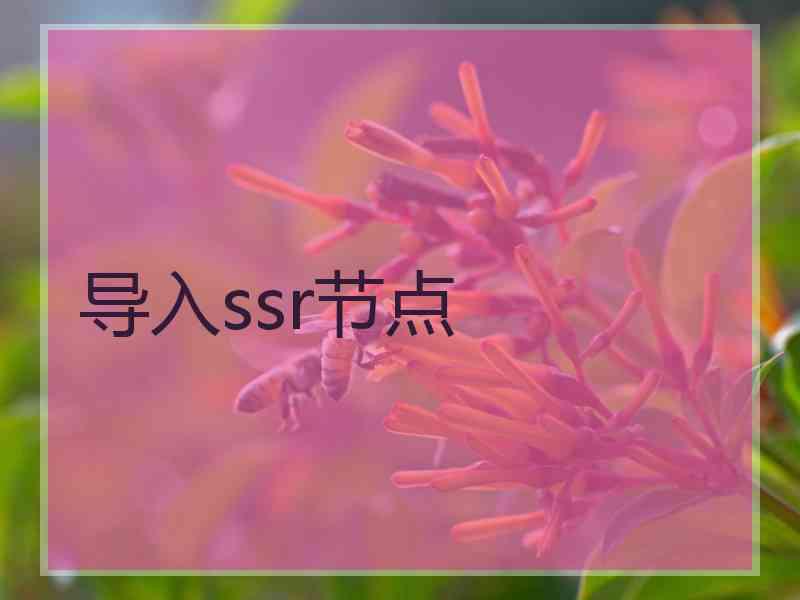 导入ssr节点