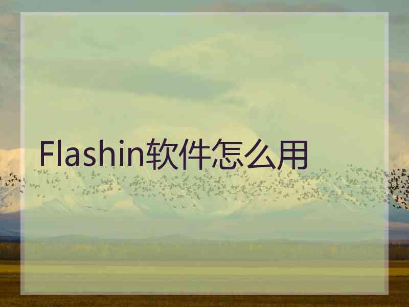 Flashin软件怎么用