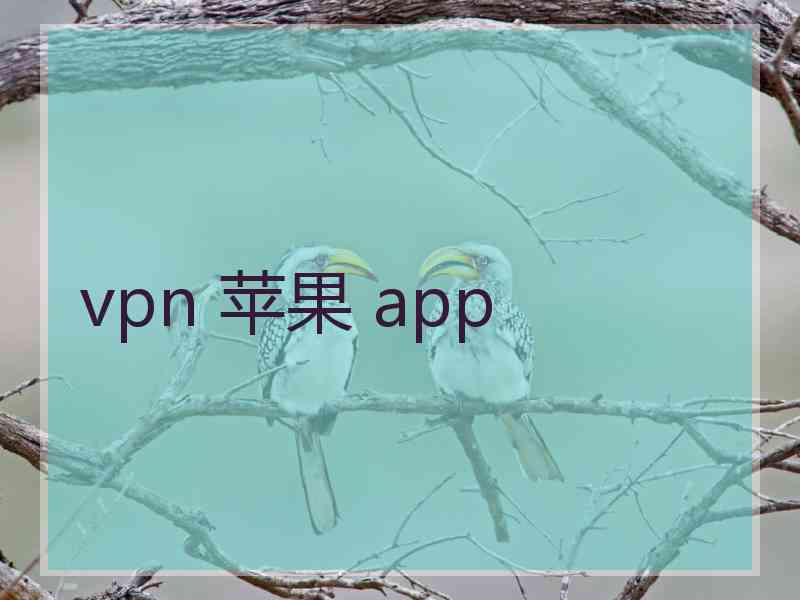 vpn 苹果 app