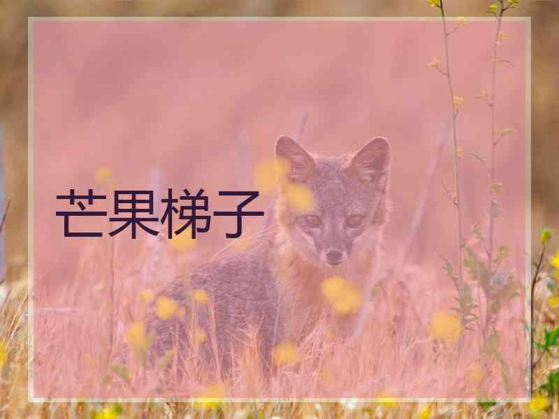 芒果梯子