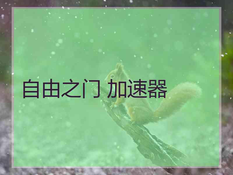 自由之门 加速器