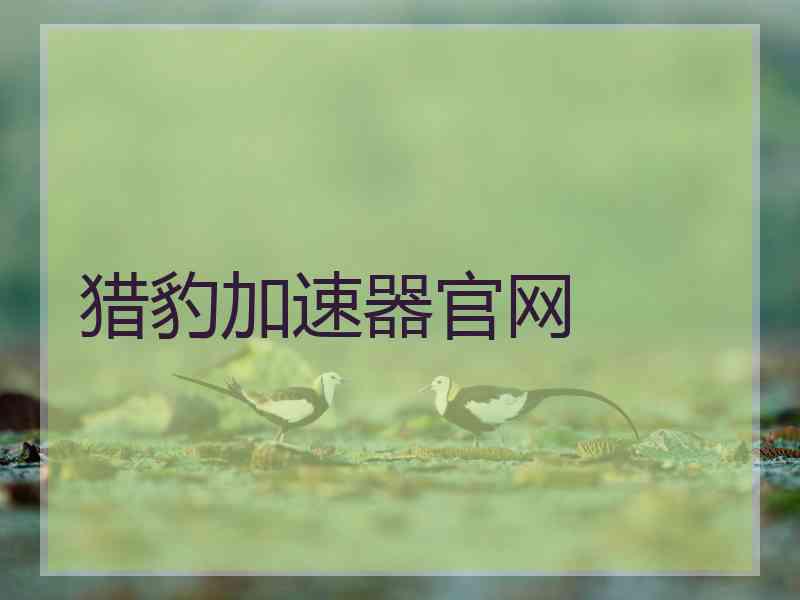 猎豹加速器官网