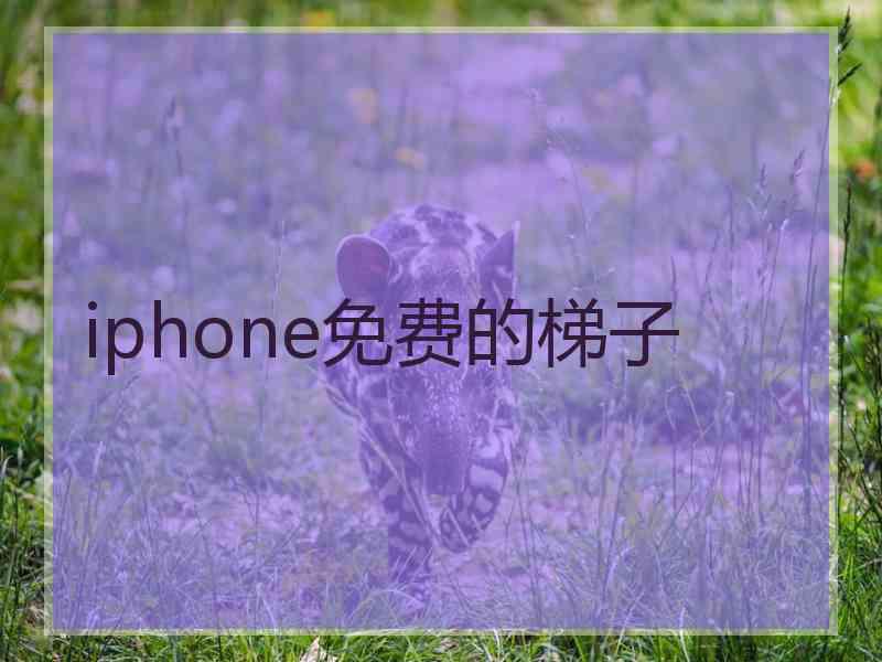 iphone免费的梯子