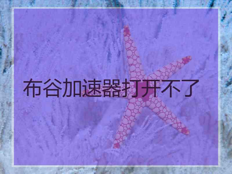 布谷加速器打开不了