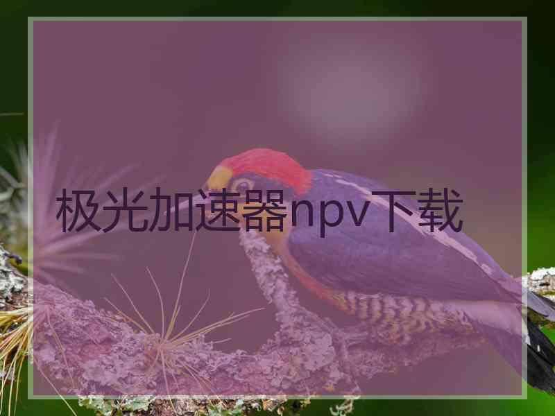 极光加速器npv下载