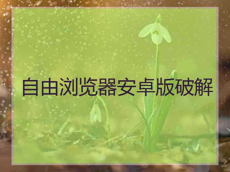 自由浏览器安卓版破解