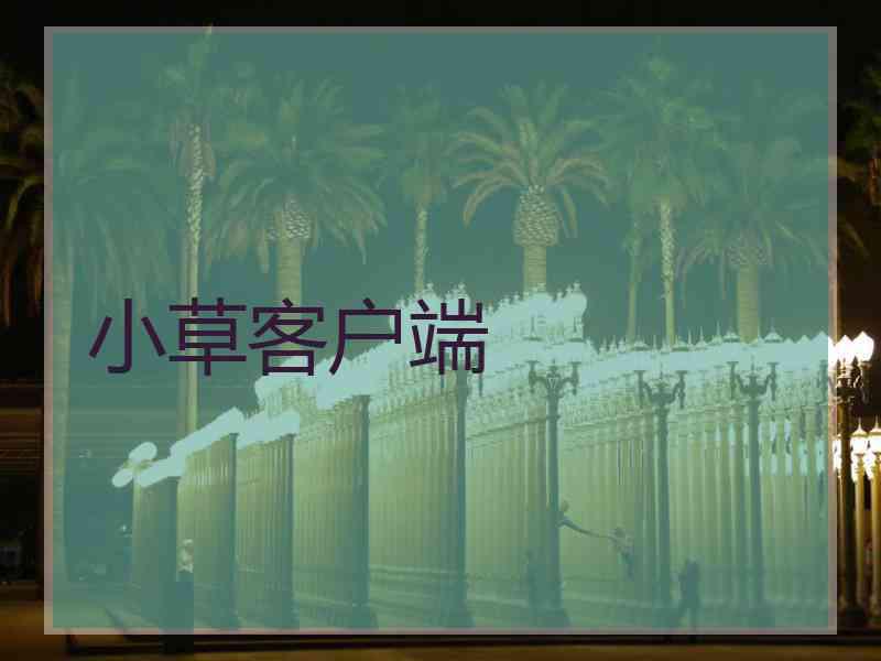 小草客户端