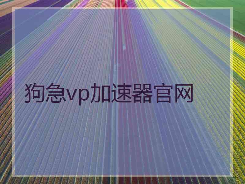 狗急vp加速器官网