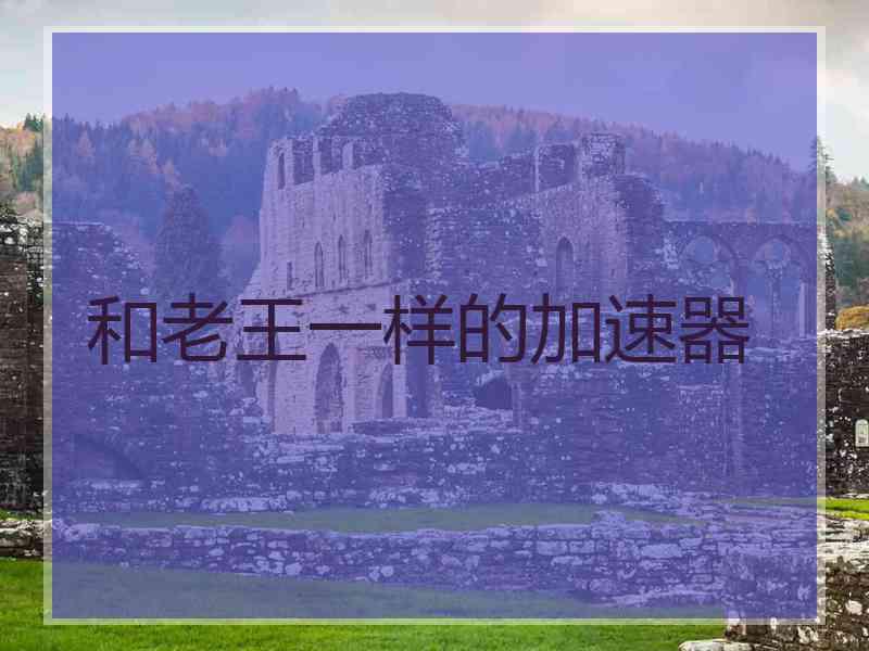 和老王一样的加速器