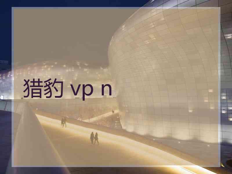 猎豹 vp n