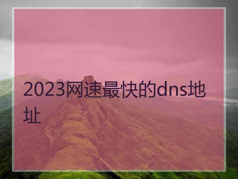 2023网速最快的dns地址