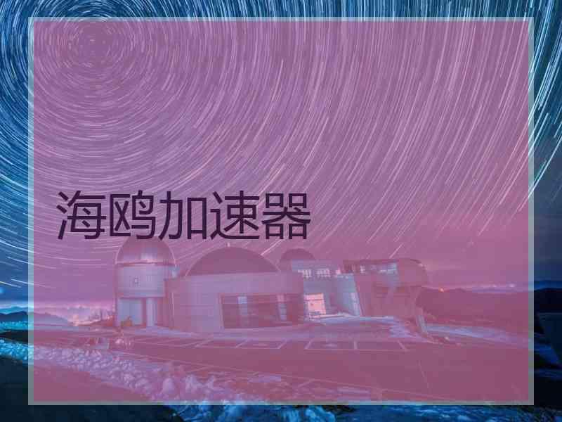 海鸥加速器