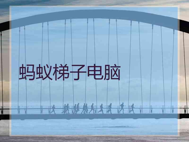蚂蚁梯子电脑