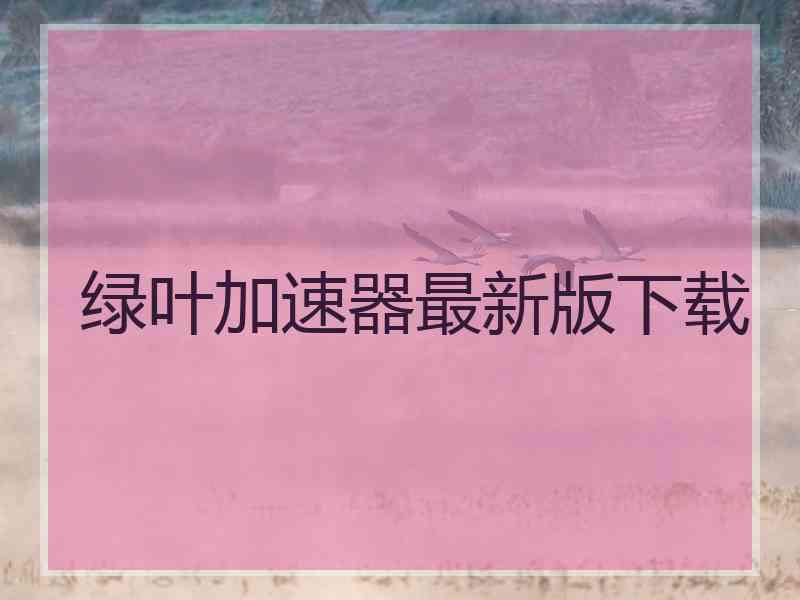 绿叶加速器最新版下载