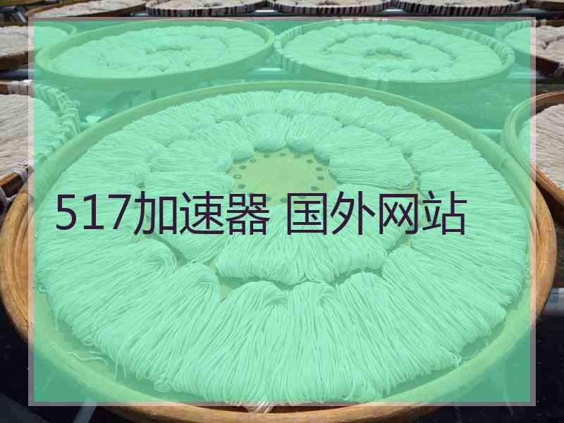 517加速器 国外网站