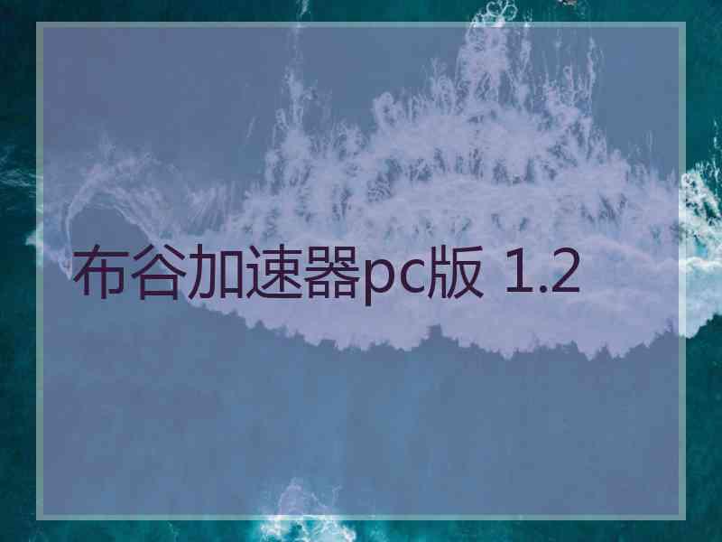 布谷加速器pc版 1.2