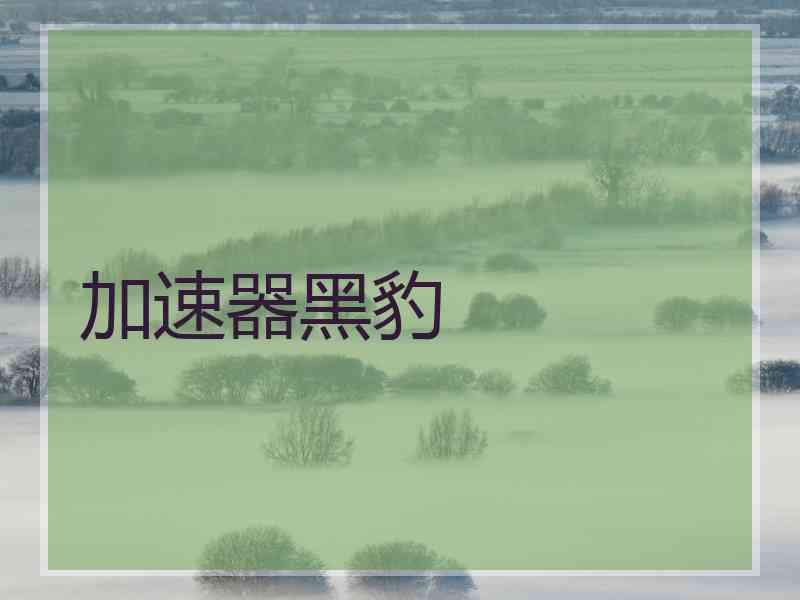 加速器黑豹