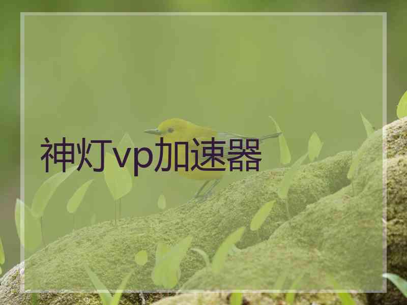神灯vp加速器