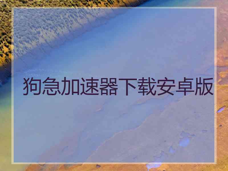 狗急加速器下载安卓版