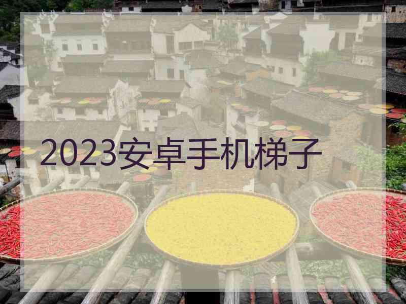 2023安卓手机梯子