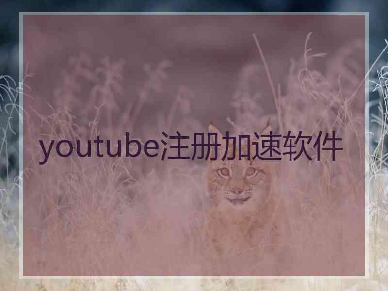 youtube注册加速软件