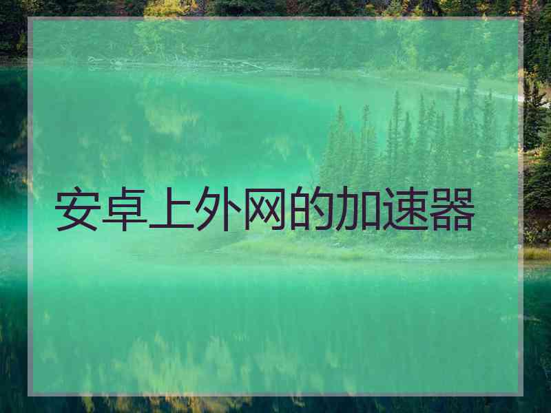 安卓上外网的加速器
