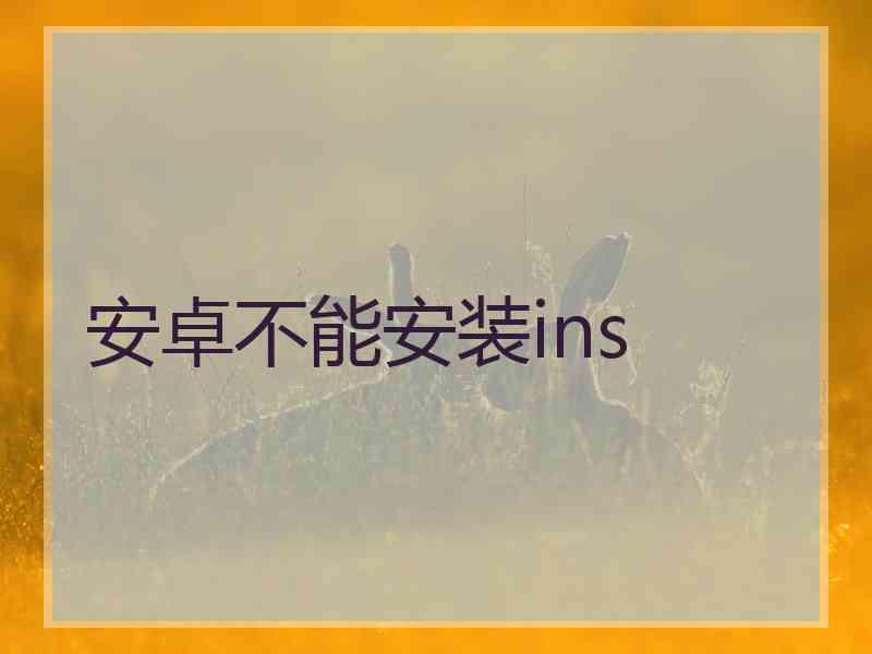 安卓不能安装ins