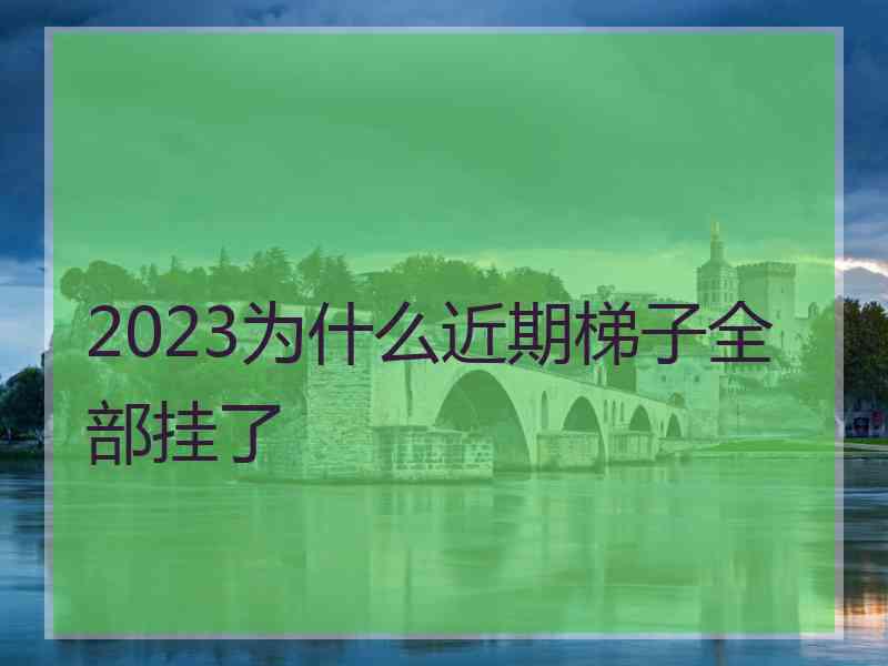 2023为什么近期梯子全部挂了