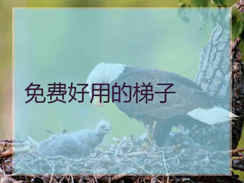 免费好用的梯子