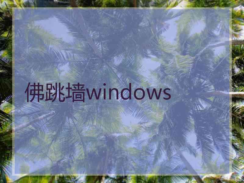 佛跳墙windows