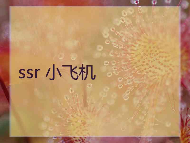 ssr 小飞机