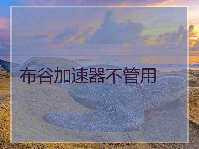 布谷加速器不管用