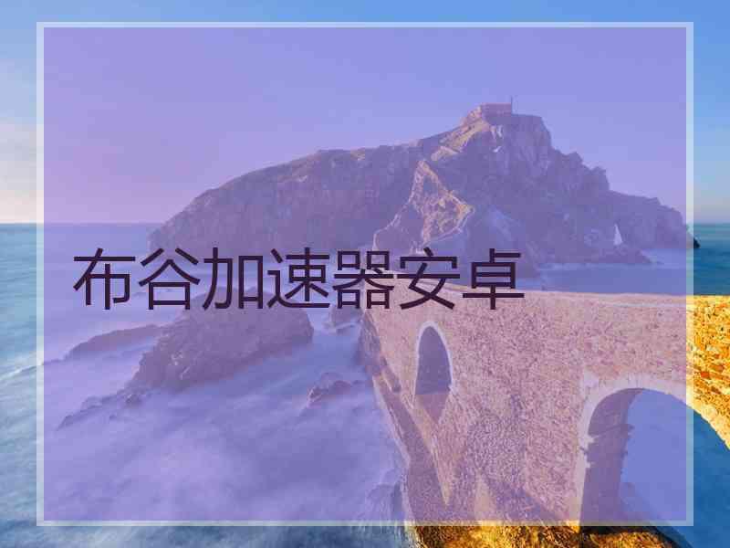 布谷加速器安卓